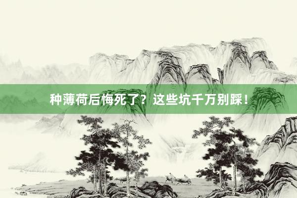 种薄荷后悔死了？这些坑千万别踩！