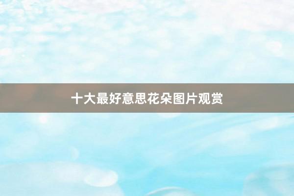 十大最好意思花朵图片观赏